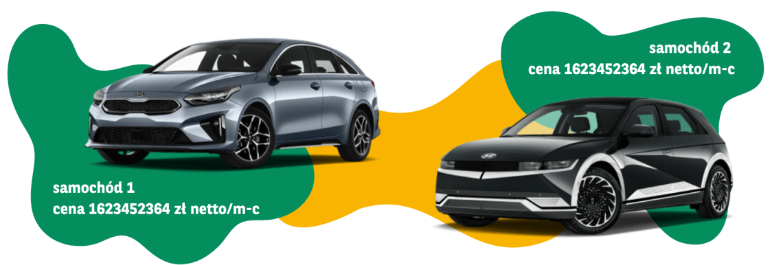 samochody-car-sharing-modele